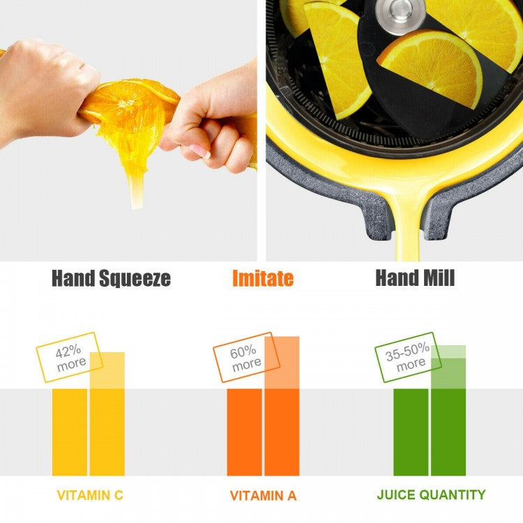 Cold Press Slow Juicer – Masticating Fruit & Vegetable Extractor