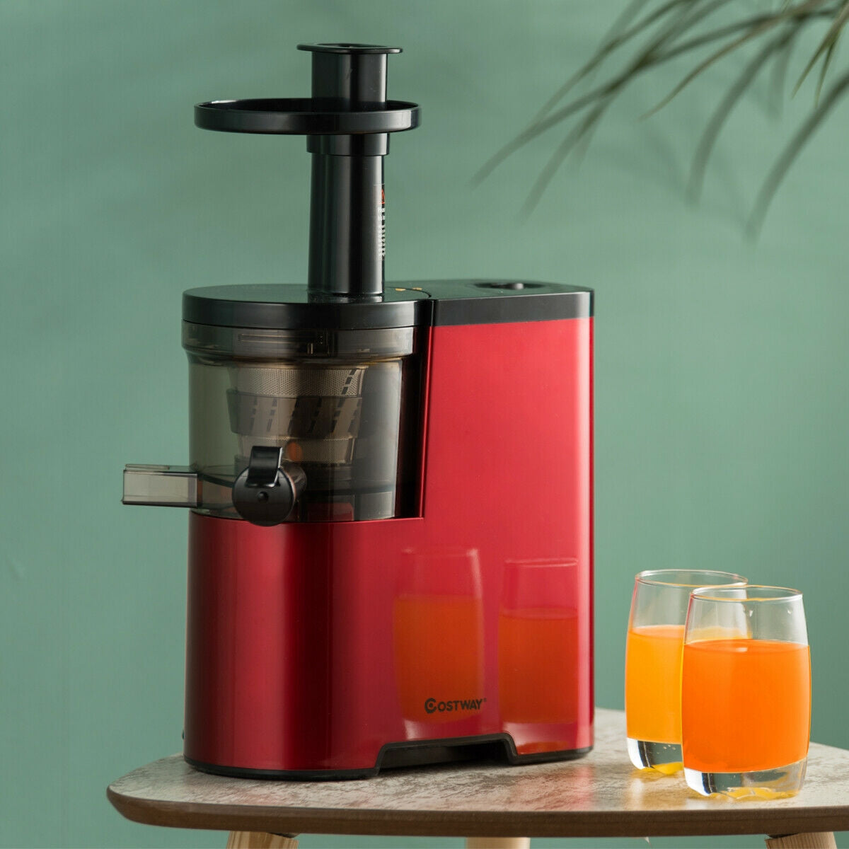 Cold Press Slow Juicer – Masticating Fruit & Vegetable Extractor