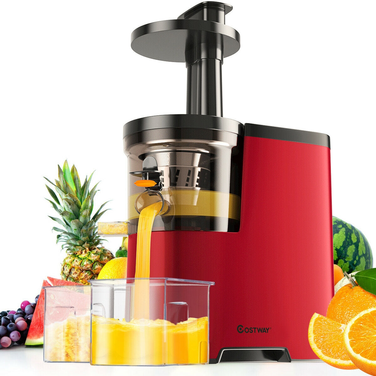 Cold Press Slow Juicer – Masticating Fruit & Vegetable Extractor