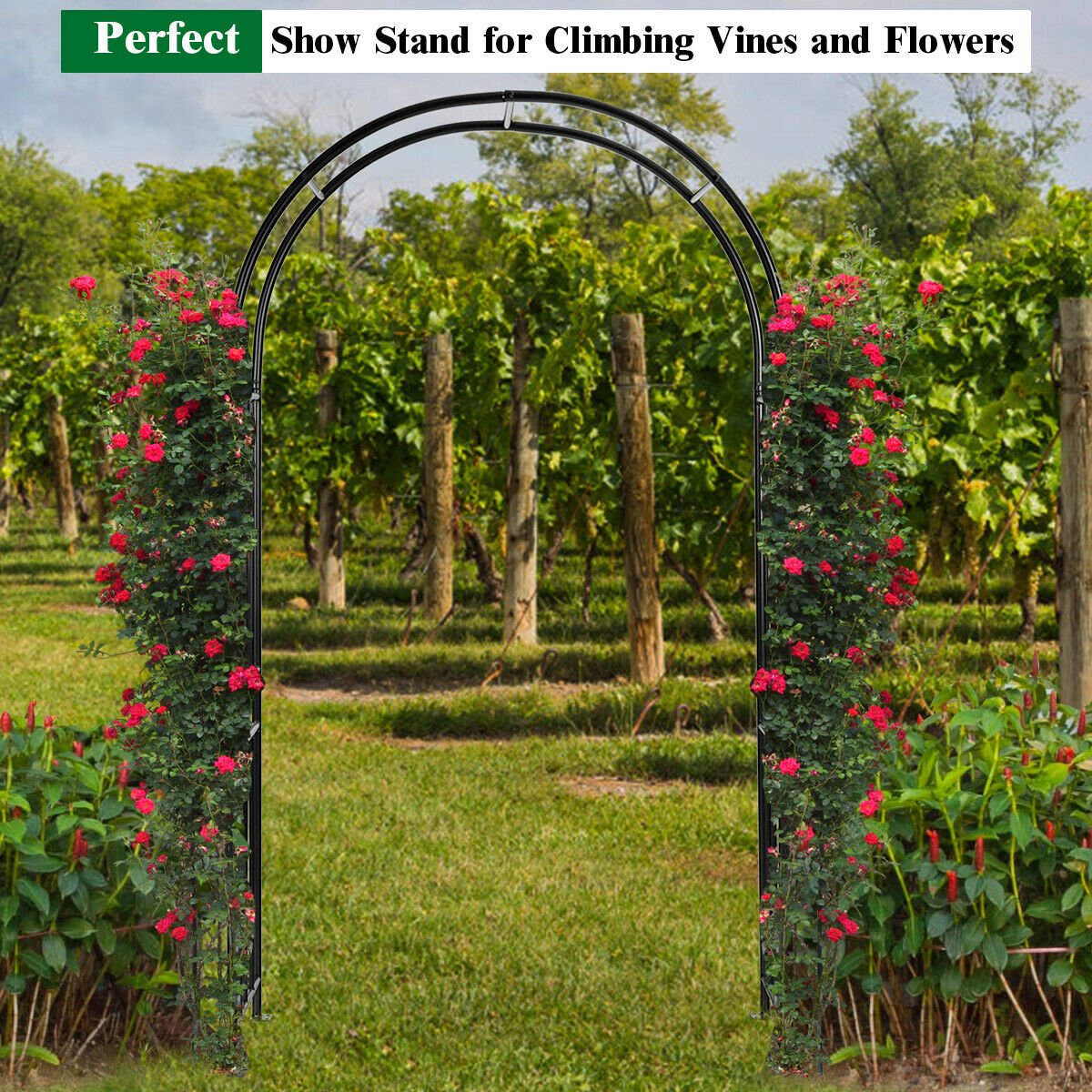 7.2 Foot Garden Arch for Climbing Plants and Outdoor Decor
