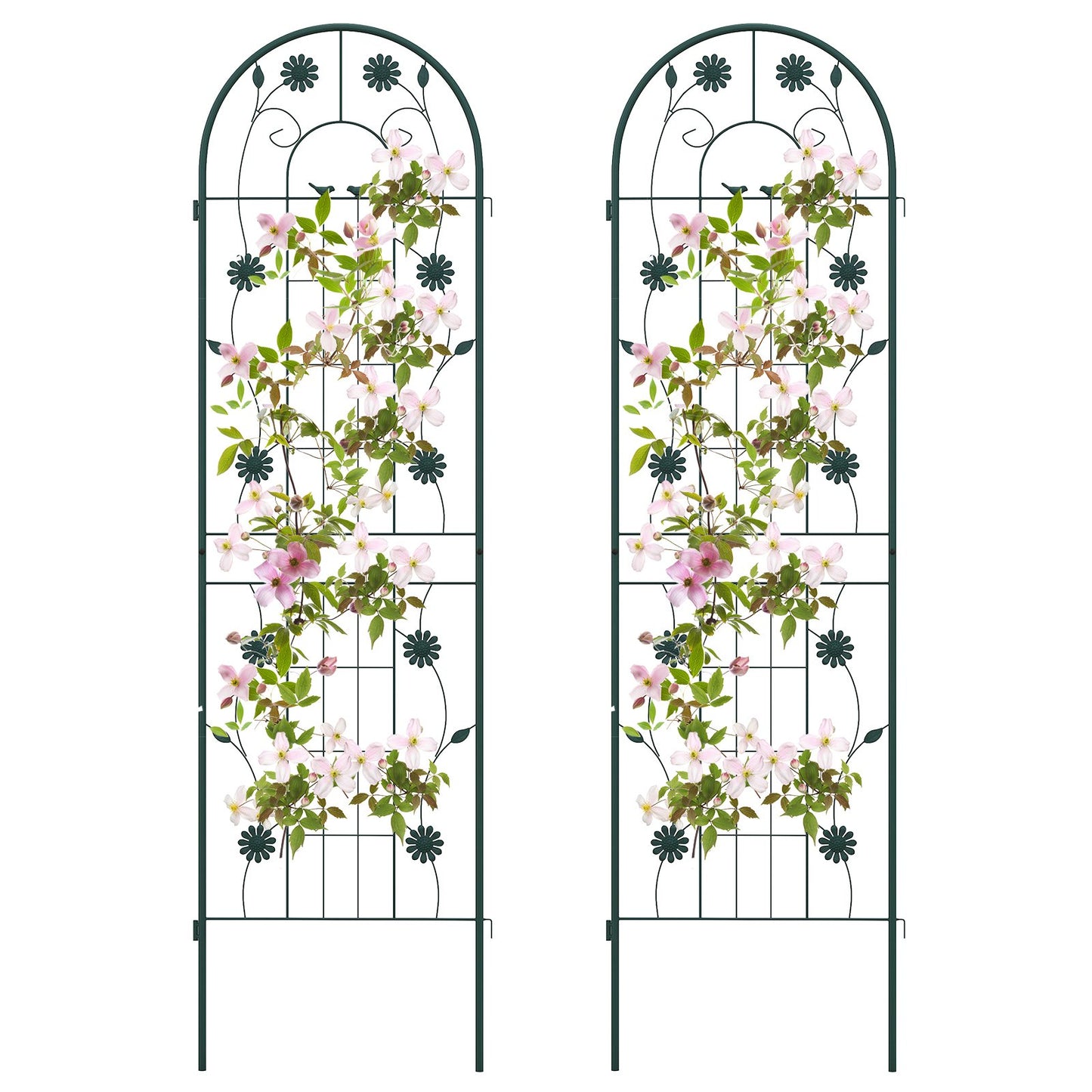 2 Pack Decorative Metal Garden Trellis – Sturdy, Rustproof Support for Climbing Plants