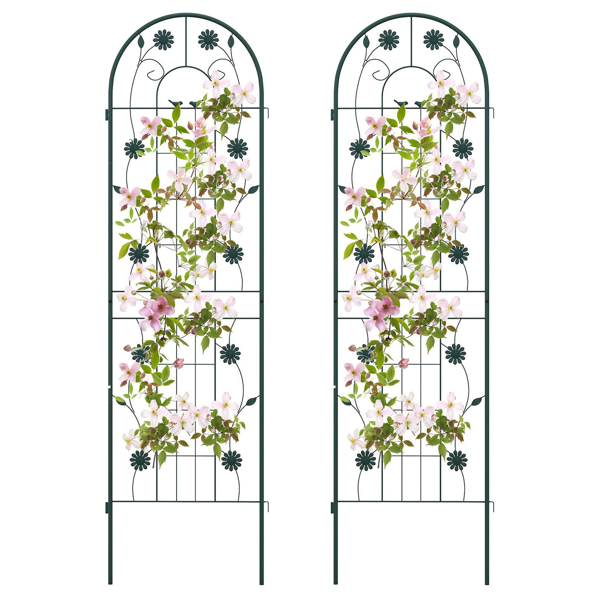 2 Pack Decorative Metal Garden Trellis – Sturdy, Rustproof Support for Climbing Plants