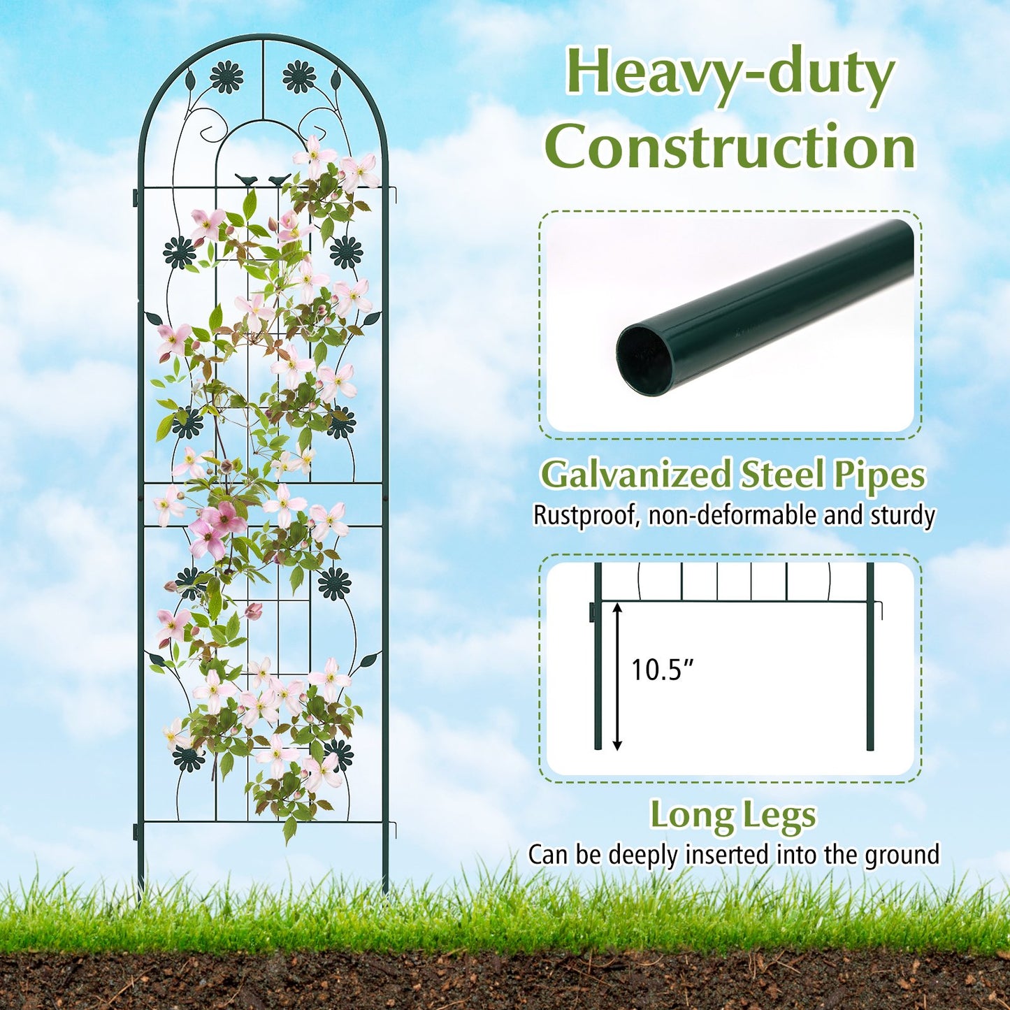 2 Pack Decorative Metal Garden Trellis – Sturdy, Rustproof Support for Climbing Plants