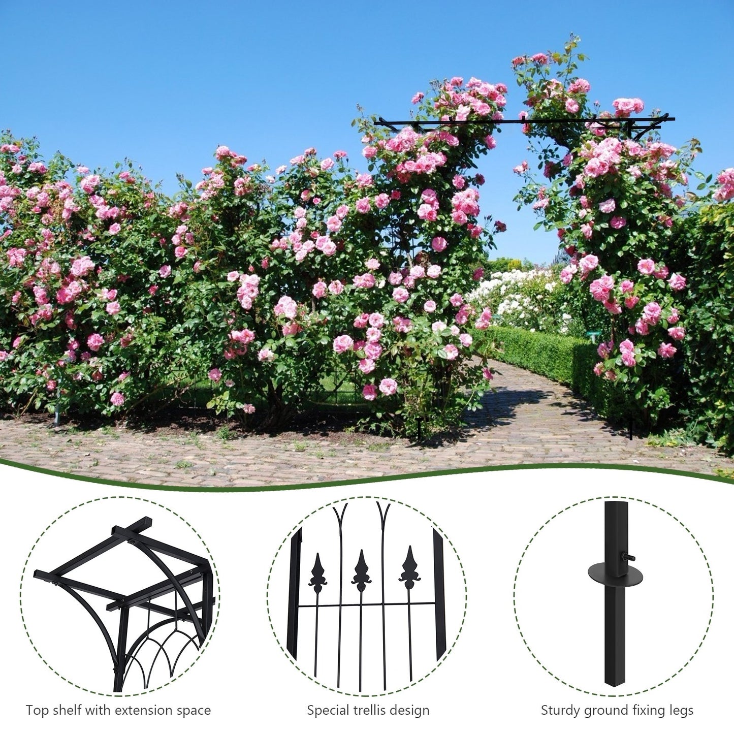 Durable 81 Inch Metal Garden Arch for Climbing Plants and Vines