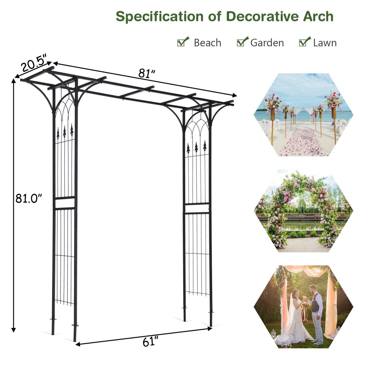 Durable 81 Inch Metal Garden Arch for Climbing Plants and Vines