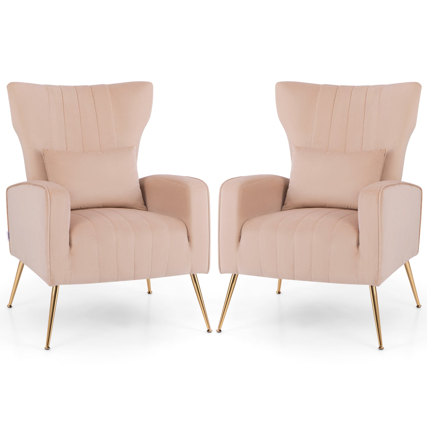 Contemporary Velvet Accent Chair with Winged Backrest and Gold Legs in Pink