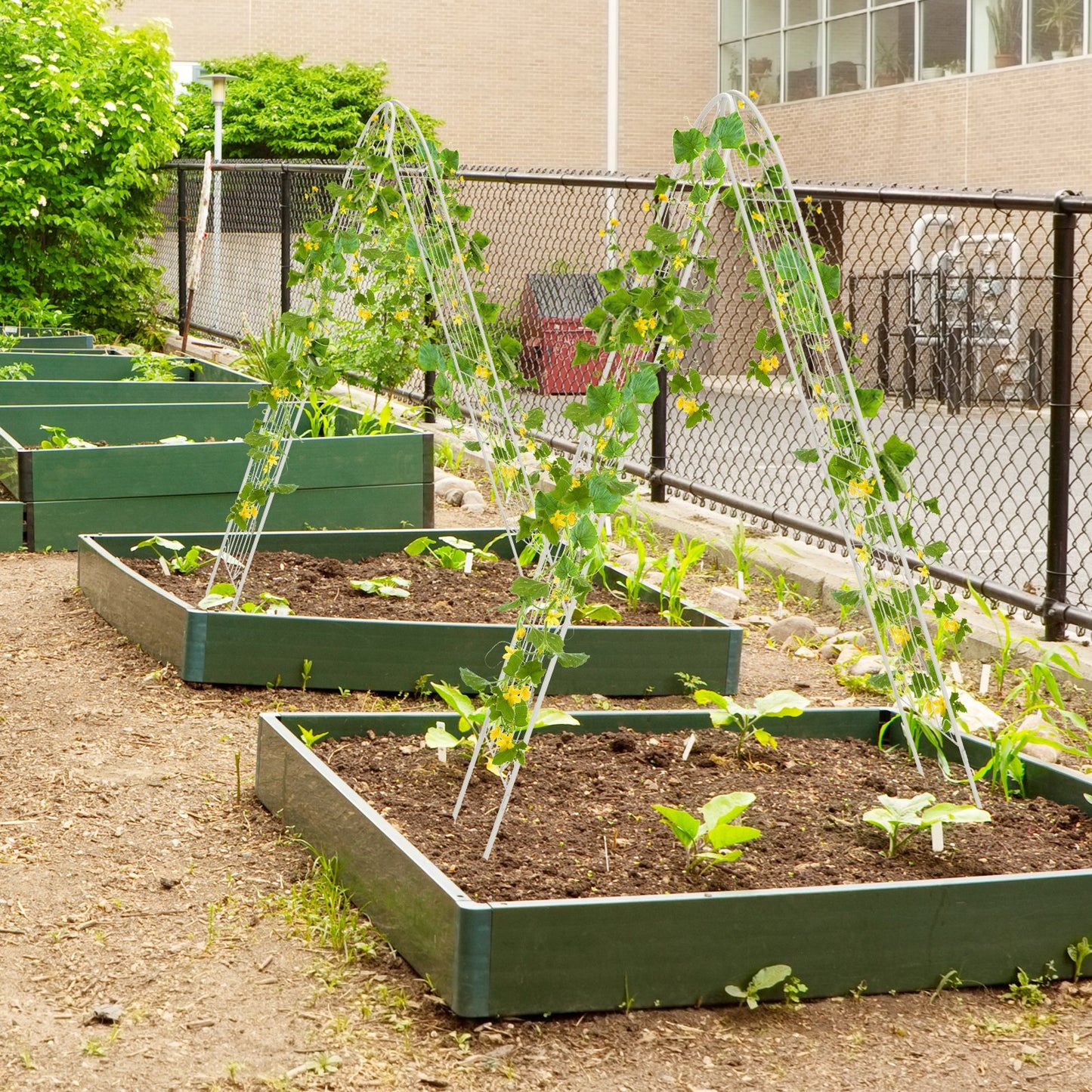 2 Pack 86.5” Metal Garden Trellis – Sturdy Support for Climbing Plants & Vines