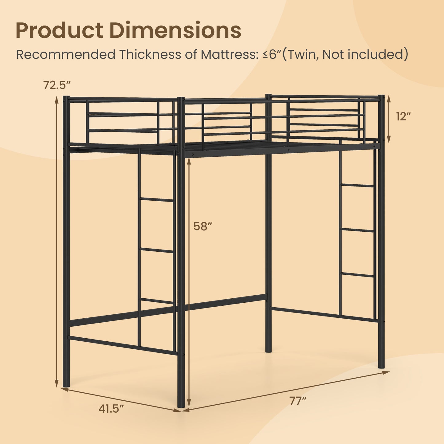 Sturdy Twin Loft Bed Frame with Dual Ladders and Full-Length Guardrail - Black