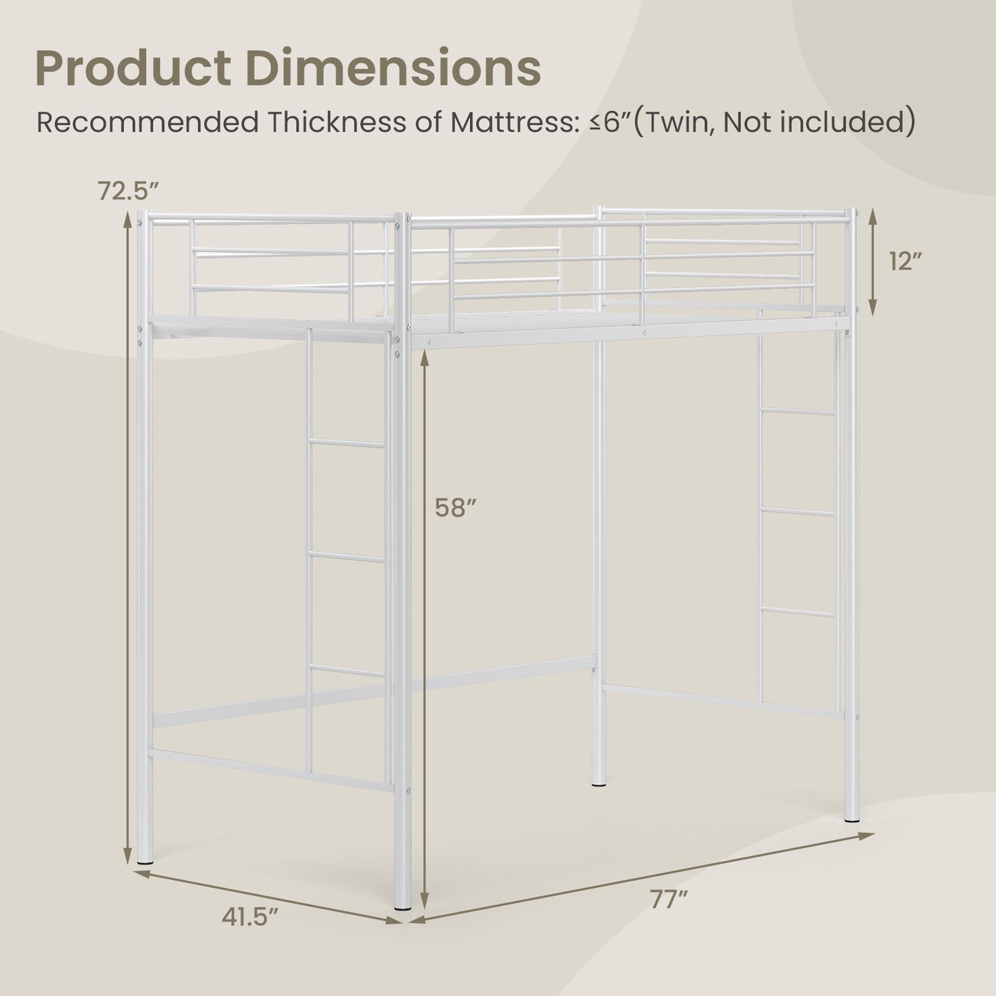 Sturdy Twin Loft Bed Frame with Dual Ladders and Full-Length Guardrail - White