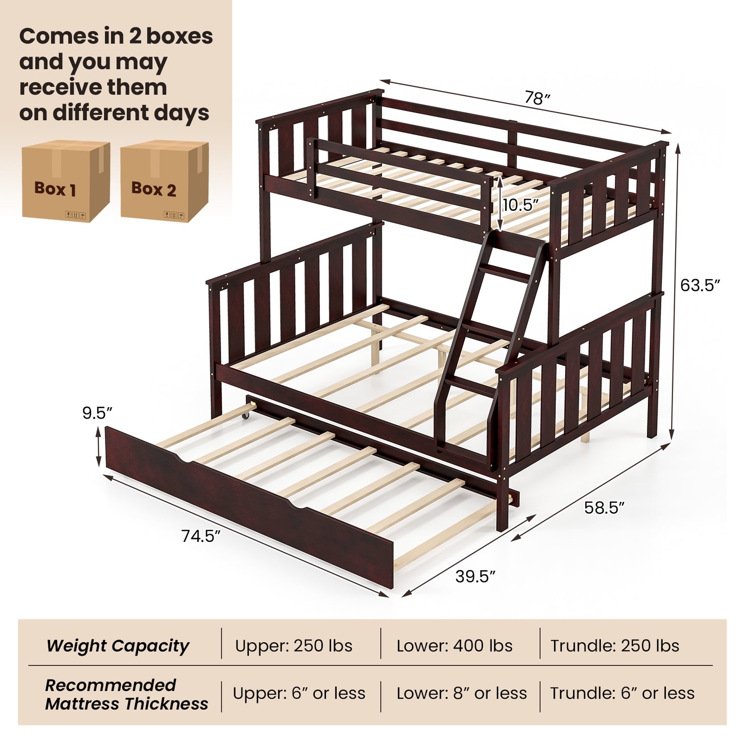 Modern Twin Over Full Bunk Bed with Trundle, Reversible Ladder, Espresso Wood Finish
