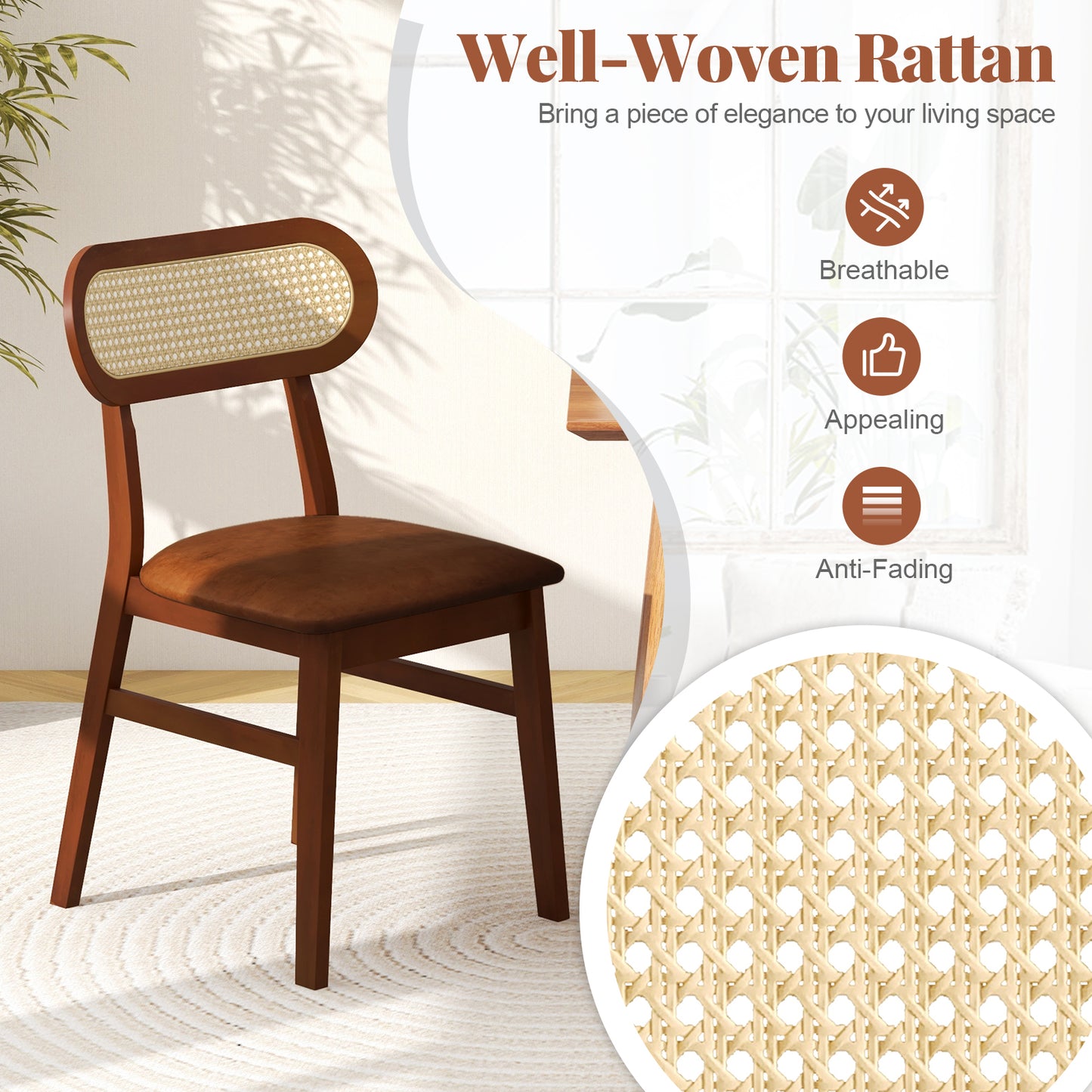 Set of 2 Mid Century Modern Wooden Dining Chairs for Indoor Use – Coffee Finish