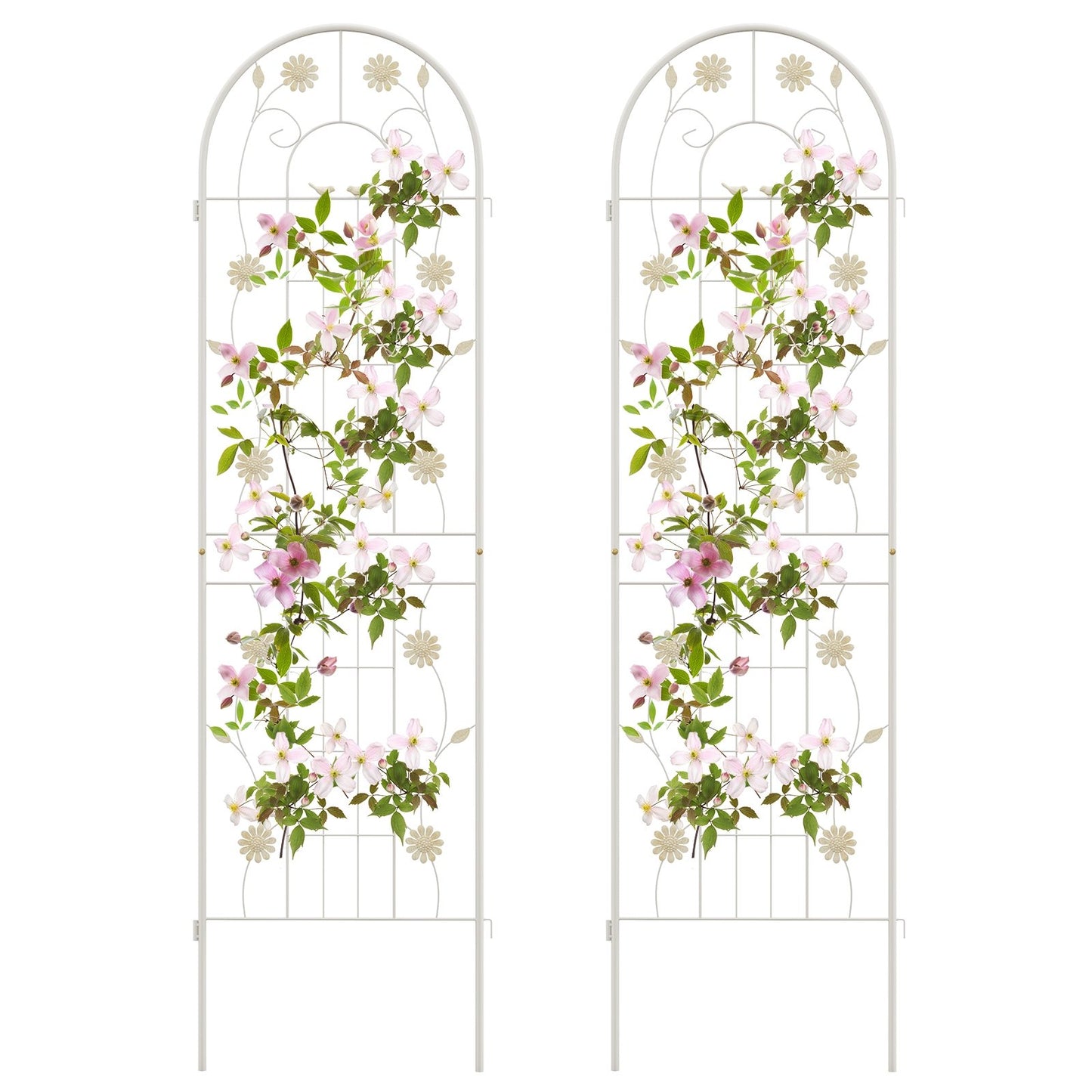 2 Pack Decorative Metal Garden Trellis – Sturdy, Rustproof Support for Climbing Plants