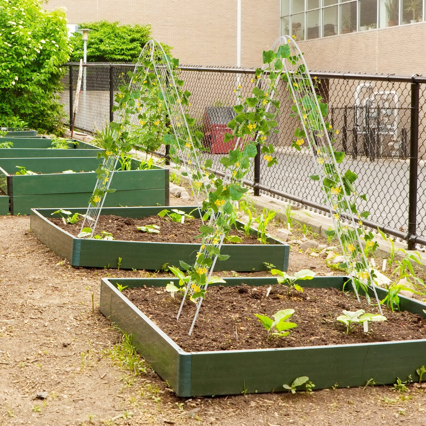 4 Pack 71" Metal Garden Trellis – Durable Support for Climbing Plants & Vines