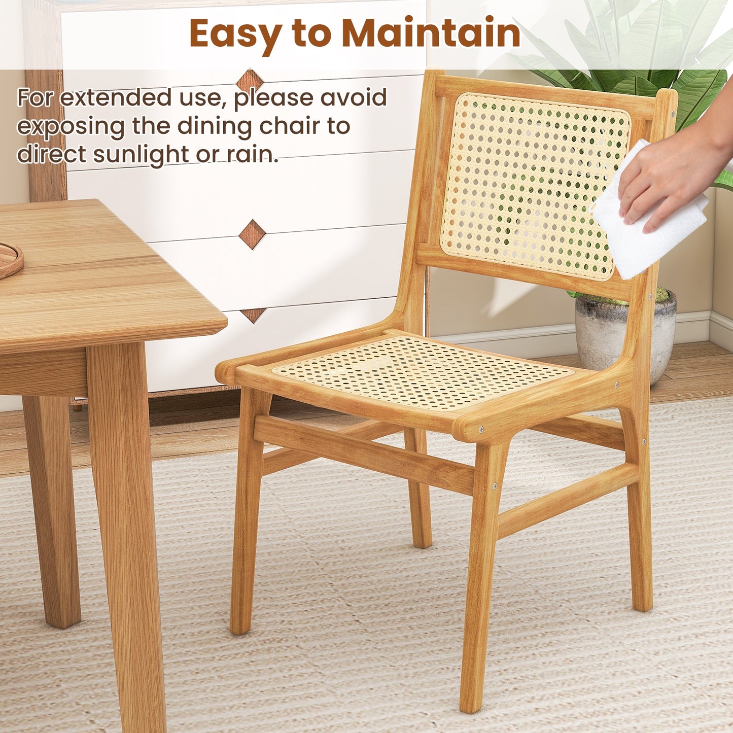 Teak Wood Rattan Dining Chair with Natural Cane Backrest