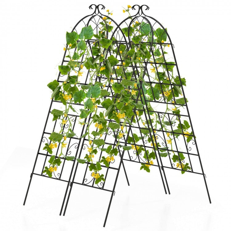 2/4 Pack 71 Inch Decorative Metal Trellis – Elegant Support for Climbing Plants and Vines
