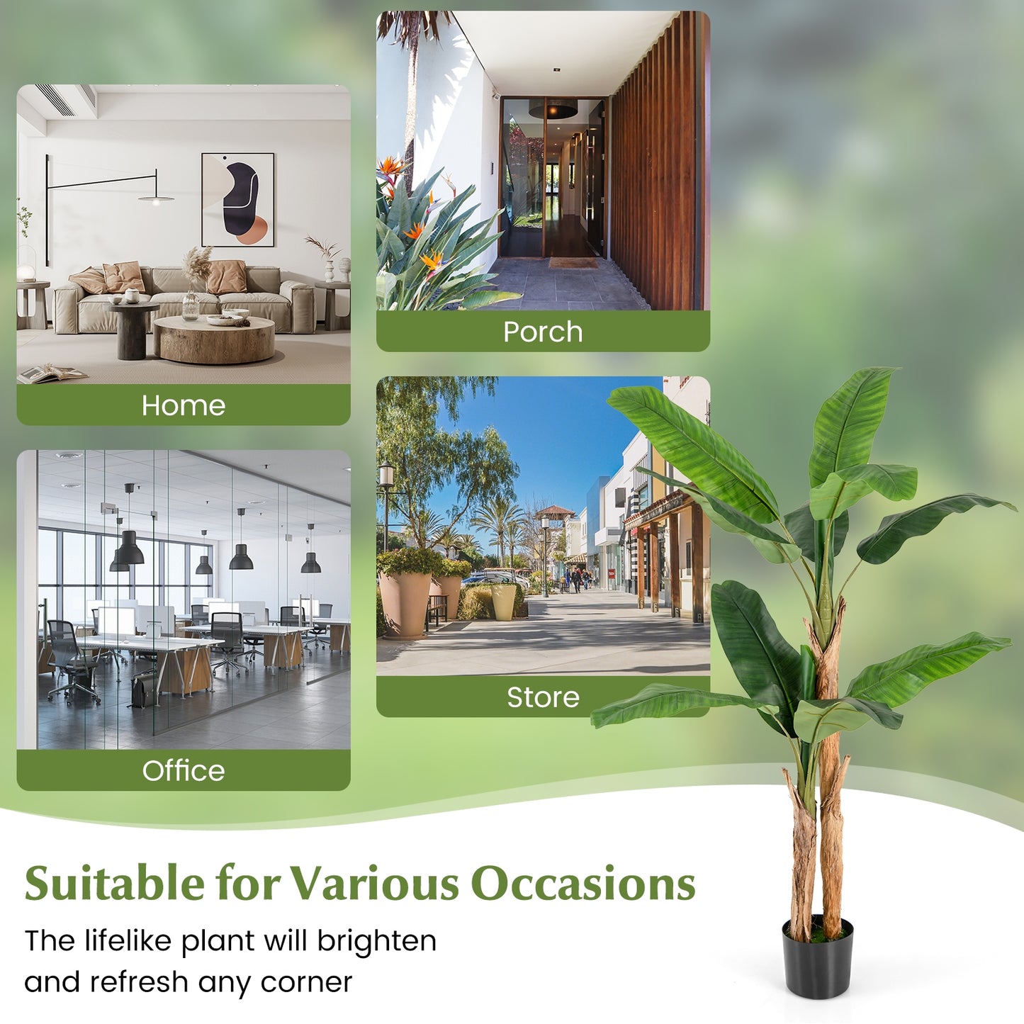 Elegant 5.5/6.5 Feet Artificial Banana Tree – Vibrant Green Leaves & Sturdy Natural Bark Design