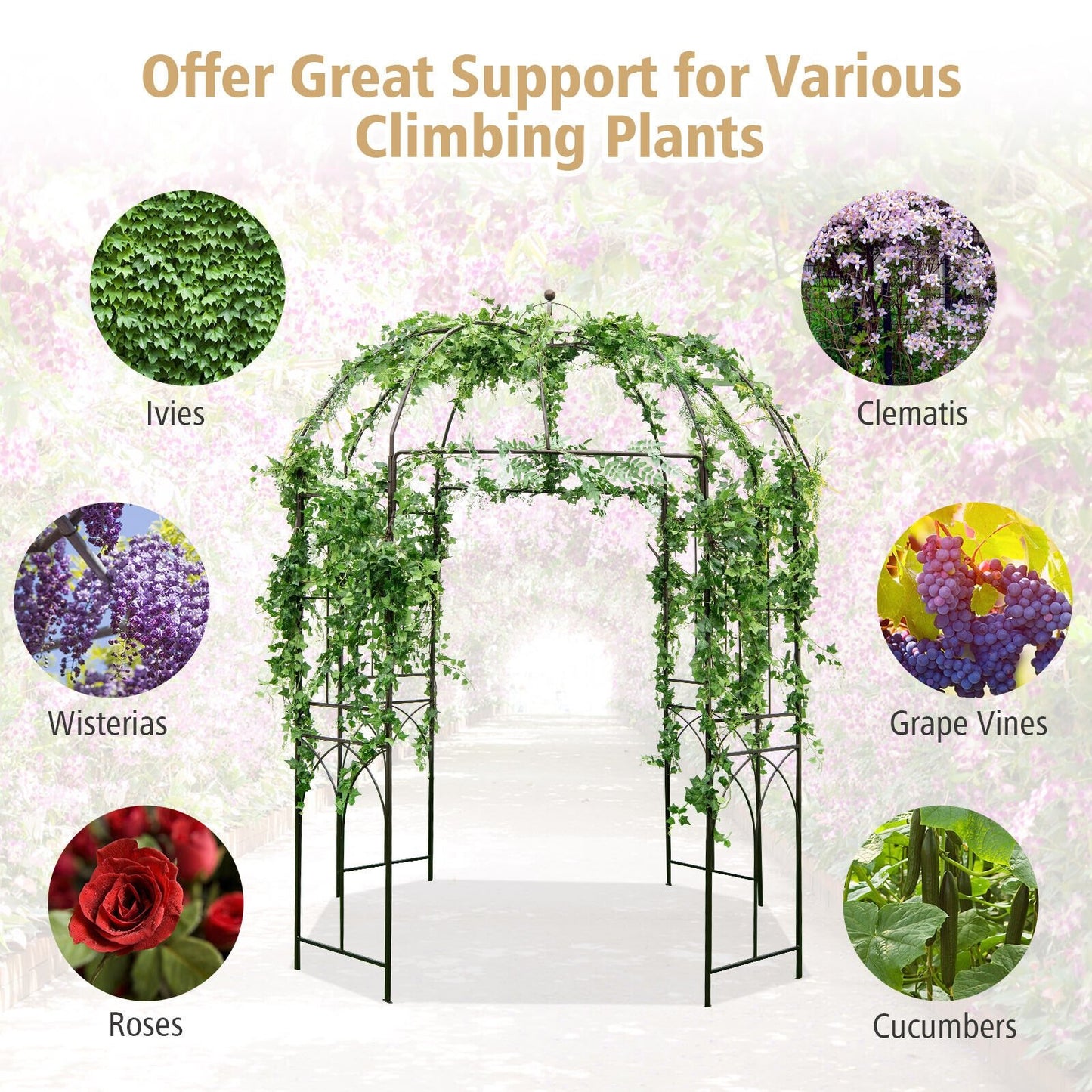 8.4 ft Birdcage Design Metal Garden Arbor for Climbing Plants and Outdoor Décor