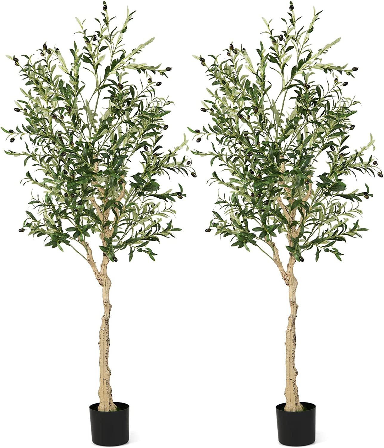 Elegant 6 Foot Artificial Olive Tree in Cement Pot for Home or Office