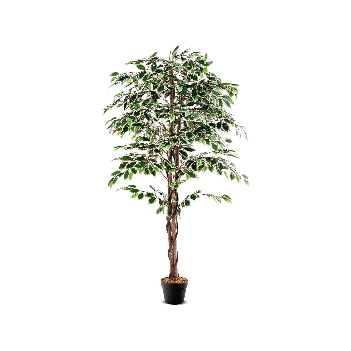 63" Lifelike Artificial Ficus Tree with 1008 Leaves, Realistic Trunk, and Dried Moss for Indoor Décor