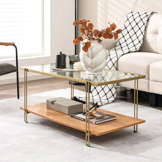 Elegant Glass Coffee Table with Two Tier Storage and Gold Metal Frame Rectangular Shape