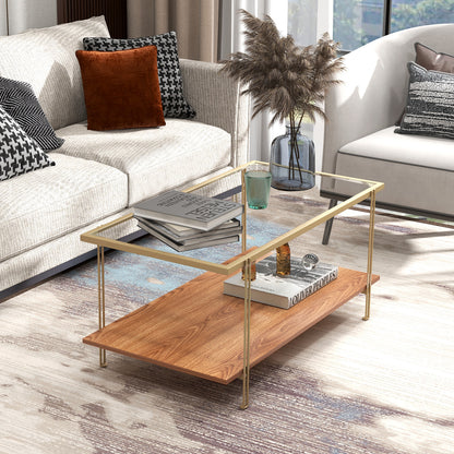 Elegant Glass Coffee Table with Two Tier Storage and Gold Metal Frame Rectangular Shape