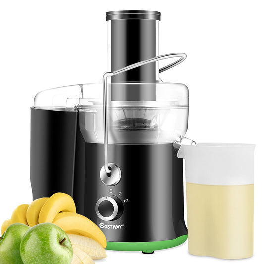 400W Stainless Steel Juice Extractor with 2-Speed Modes for Fruits & Vegetables