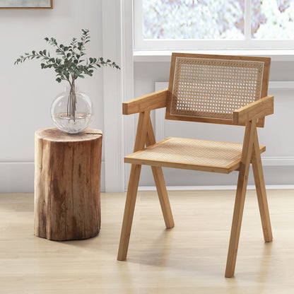 Set of 2 Mid Century Rattan Accent Chairs with Bamboo Frame