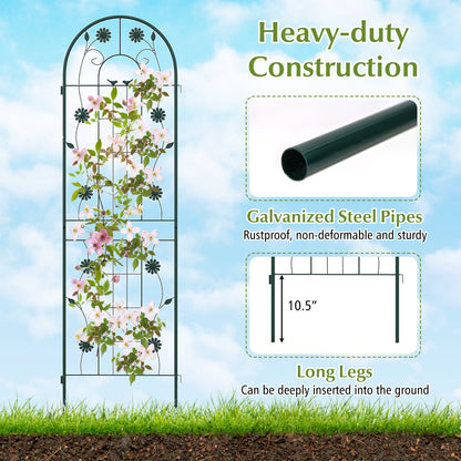 2 Pack Decorative Metal Garden Trellis – Sturdy, Rustproof Support for Climbing Plants