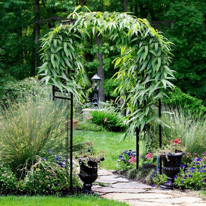 Durable 81 Inch Metal Garden Arch for Climbing Plants and Vines