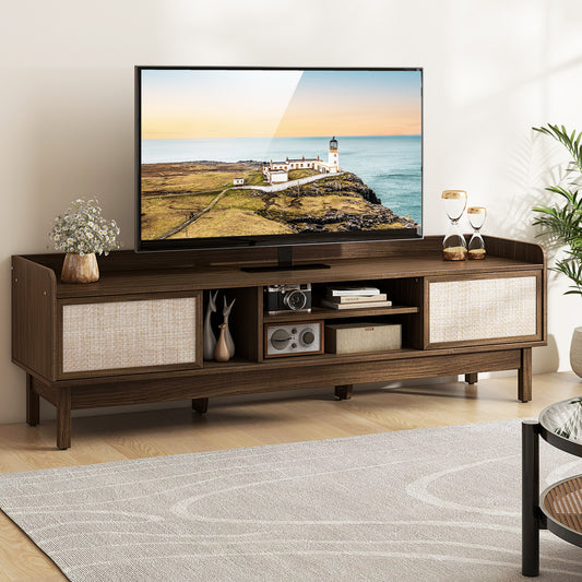Modern Sliding Door TV Console with Woven Doors for TVs up to 65 Inches