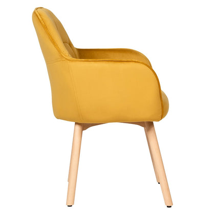 Set of 2 Comfortable Leisure Chairs with Velvet Upholstery and Wooden Frame