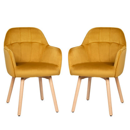 Set of 2 Comfortable Leisure Chairs with Velvet Upholstery and Wooden Frame
