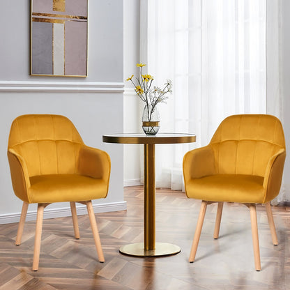Set of 2 Comfortable Leisure Chairs with Velvet Upholstery and Wooden Frame