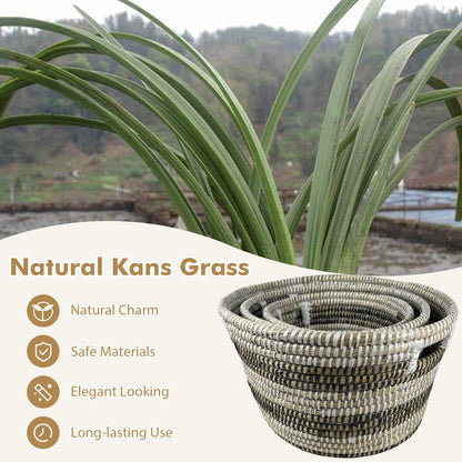 Bohemian Natural Canes Grass Storage Baskets Set of 3 with Hollow Handles