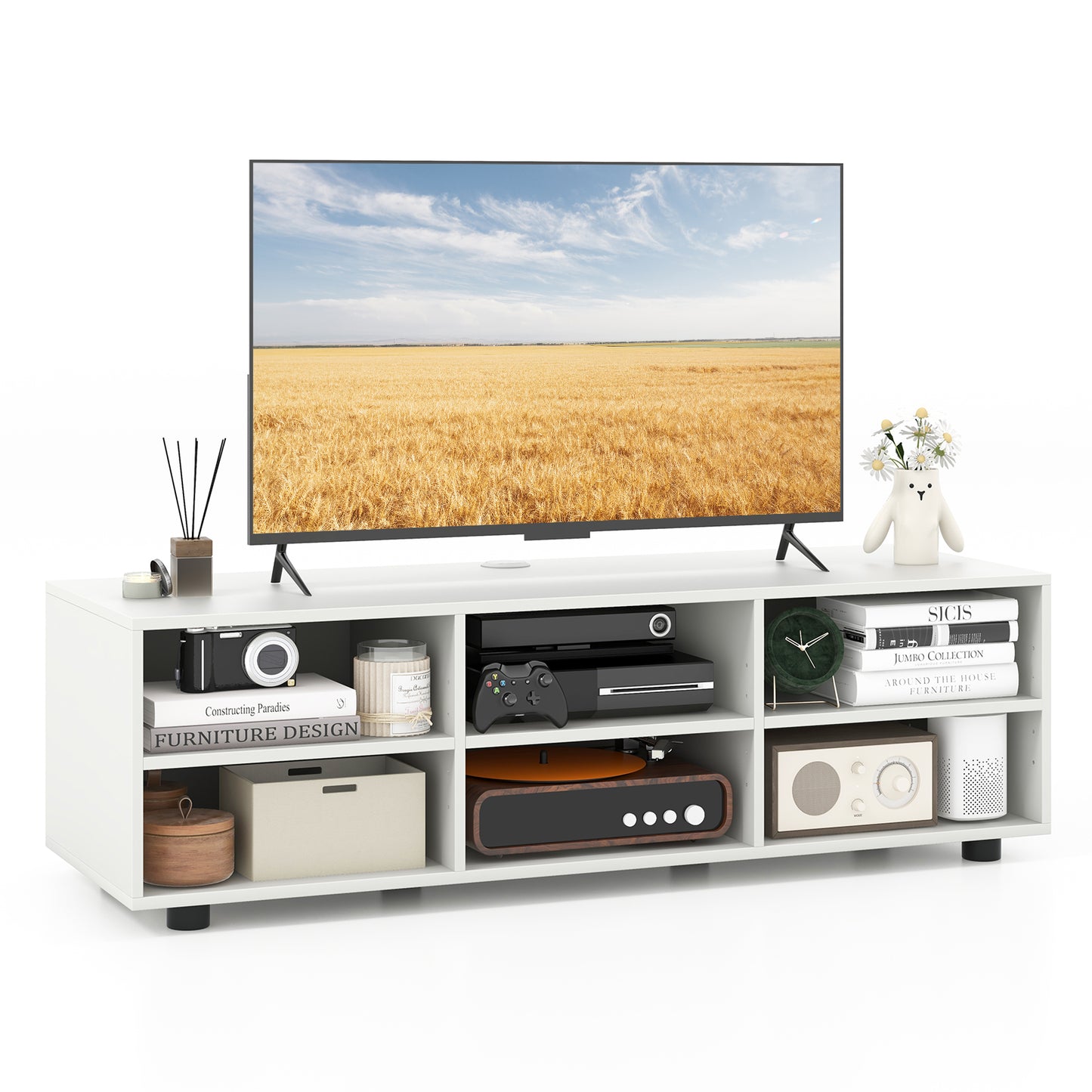 Modern TV Stand with 6 Storage Compartments for TVs up to 55 Inches