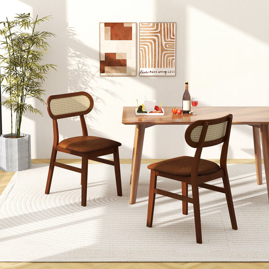 Set of 2 Mid Century Modern Wooden Dining Chairs for Indoor Use – Coffee Finish