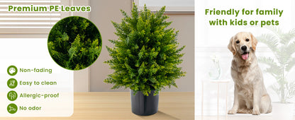 Set of 2 Artificial Cedar Topiary Trees in Cement Pots – Lifelike Home & Office Décor