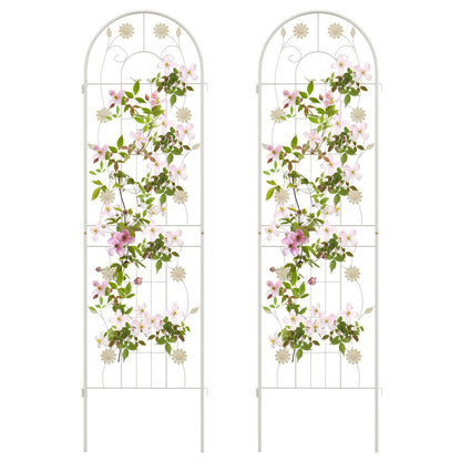2 Pack Decorative Metal Garden Trellis – Sturdy, Rustproof Support for Climbing Plants