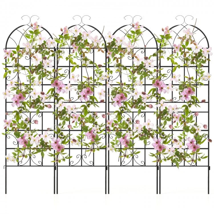 2/4 Pack 71 Inch Decorative Metal Trellis – Elegant Support for Climbing Plants and Vines