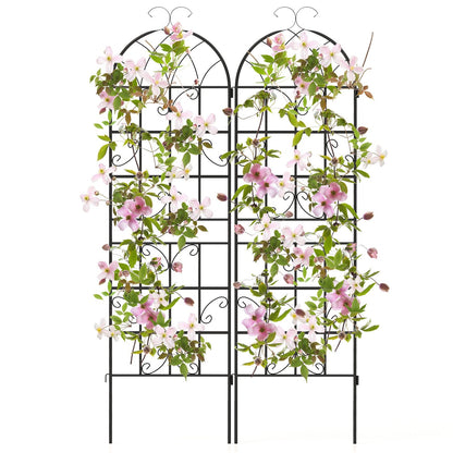 2/4 Pack 71 Inch Decorative Metal Trellis – Elegant Support for Climbing Plants and Vines