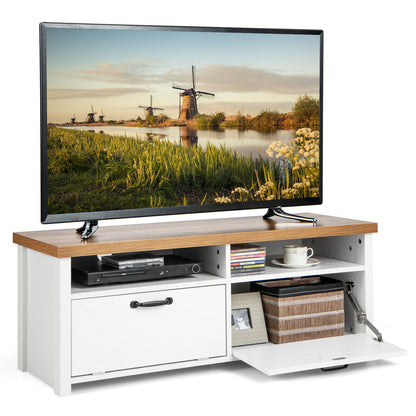 Sleek TV Stand with Two Cabinets and Media Shelves for TVs up to 48 Inches