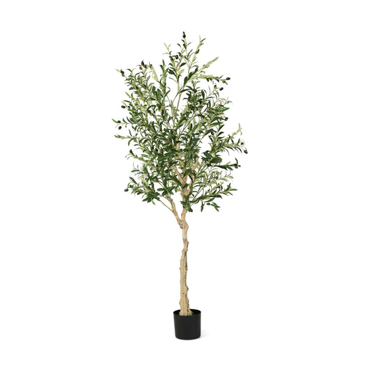 Elegant 6 Foot Artificial Olive Tree in Cement Pot for Home or Office
