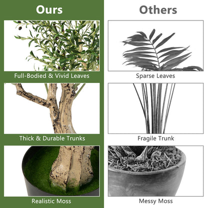 Elegant 6 Foot Artificial Olive Tree in Cement Pot for Home or Office
