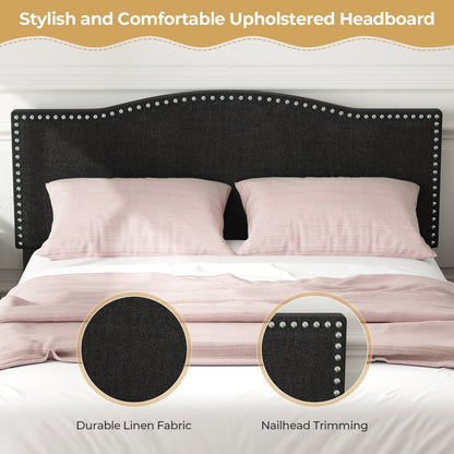 Elegant Queen Size Upholstered Bed Frame with Nailhead Trim and Stylish Headboard